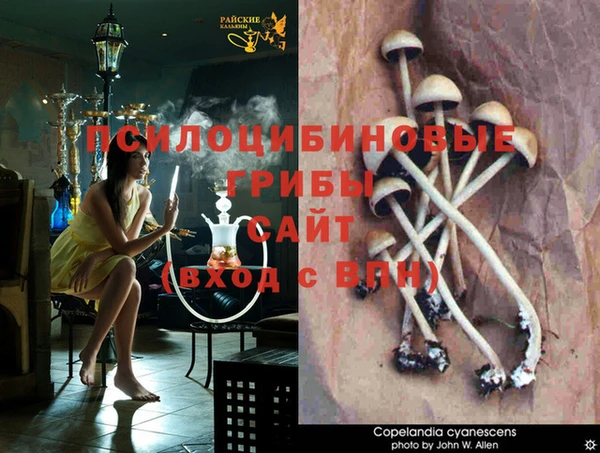 прущие крисы Михайлов
