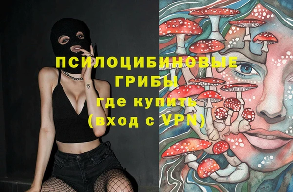 Альфа ПВП Михайловск