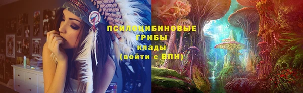 метамфетамин Ельня