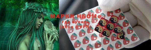 метамфетамин Ельня