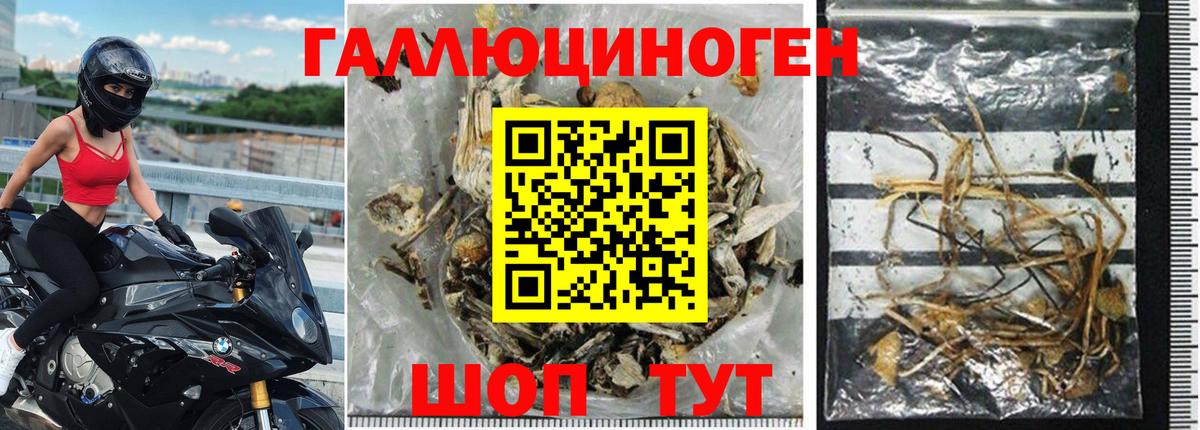 Псилоцибиновые грибы мицелий  Вход с VPN  Фролово  Галлюциногенные грибы Magic Shrooms 